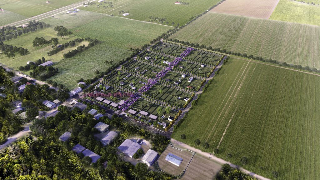 MI TERRA ALVAREZ